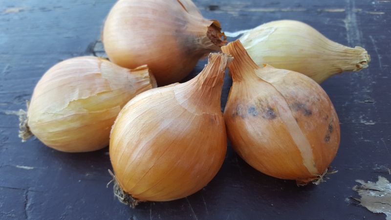Eko čebula 250g