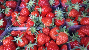 Jagode eko 500g