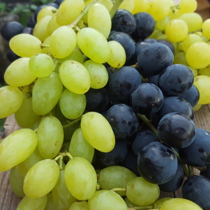 Grozdje namizno 500g eko